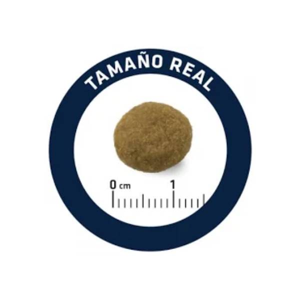 Advance Dog Vet Weight Balance 12kg