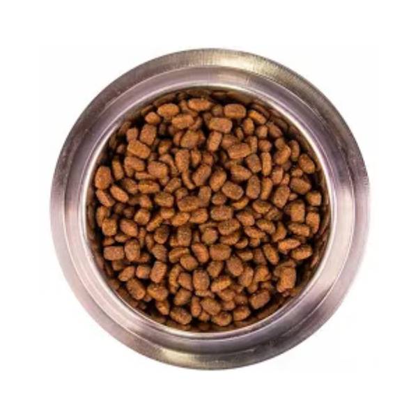 Monge Dog Mini Pollo 800gr