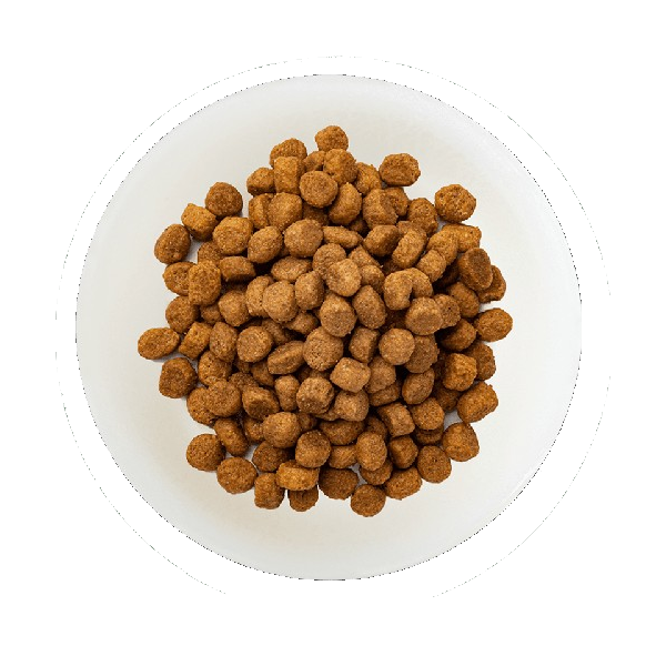 Schesir Dog Large Pollo 12kg